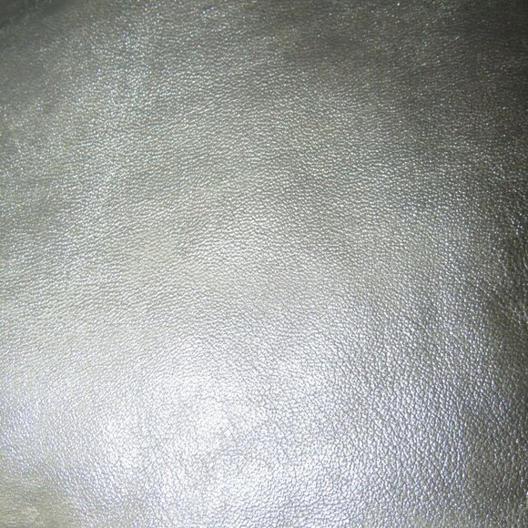 Coach 2010 Soho Lynn Hobo Buckle Bag in Pearlescent White Brown Leather Trim - Picture 12 of 14